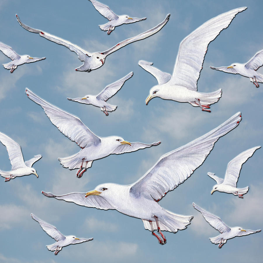 Call Of The Seagull 2 Digital Art by HH Photography of Florida