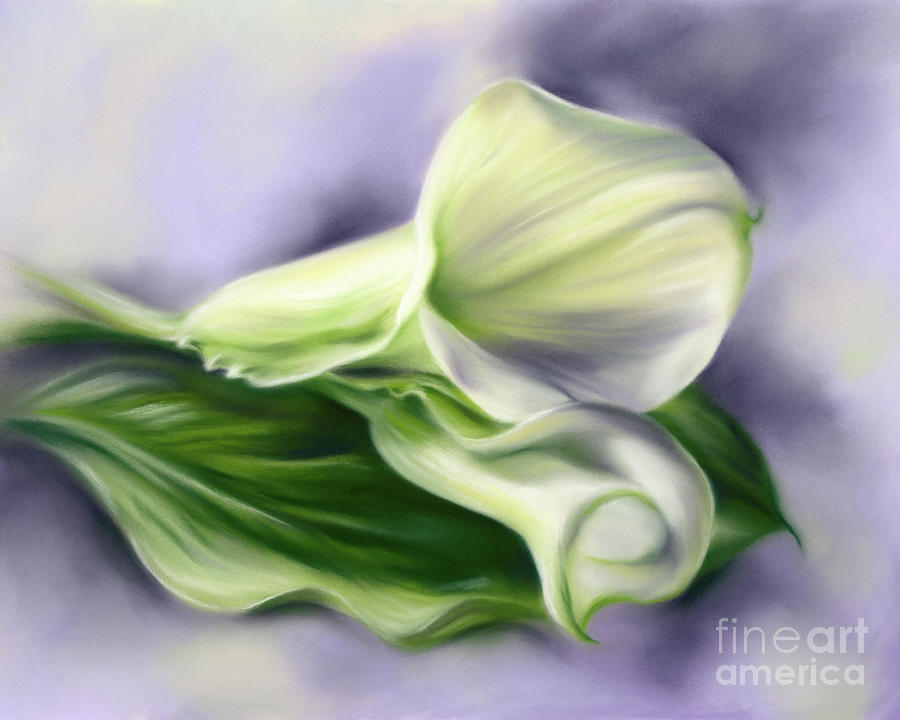 Calla Flowers and Leaf on Purple Painting by MM Anderson
