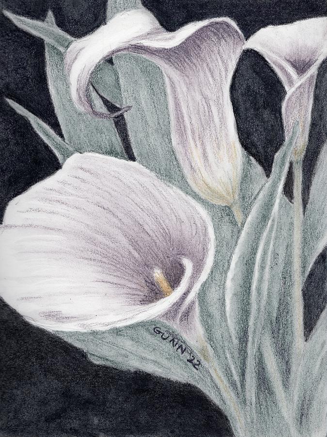 Calla Lilies 3 Drawing by Katrina Gunn