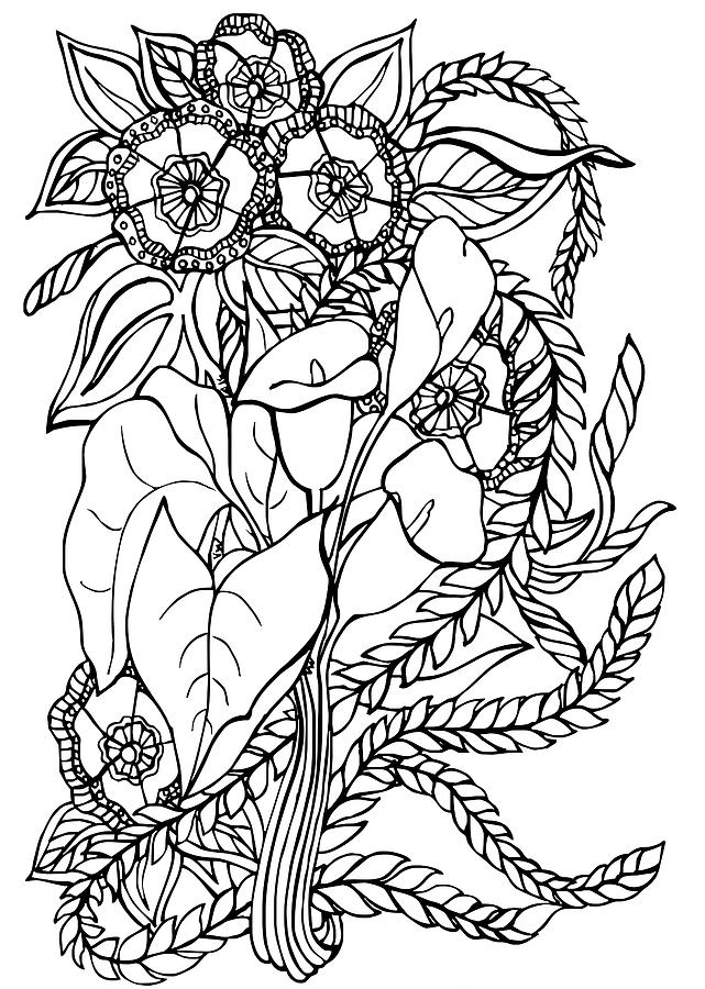 Calla Lilies Drawing