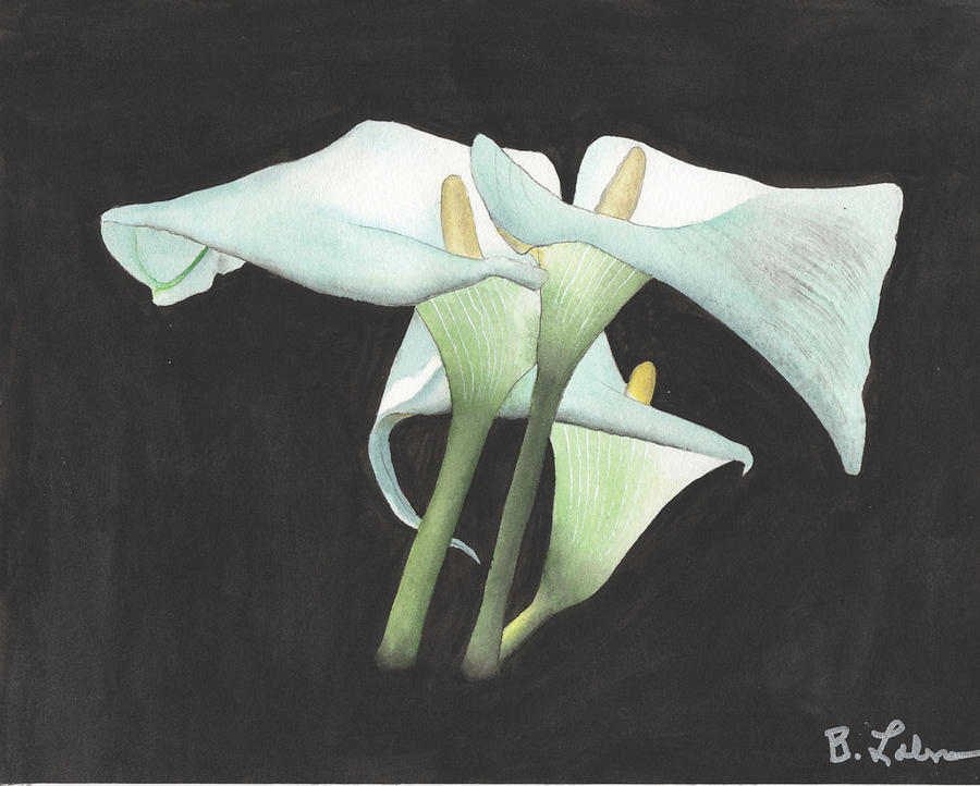 Calla Lily Painting by Bob Labno