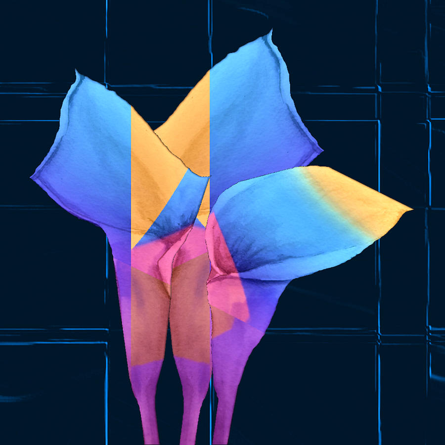 Calla Lily Flower Art - Modern Abstract  Digital Art by Ronald Mills