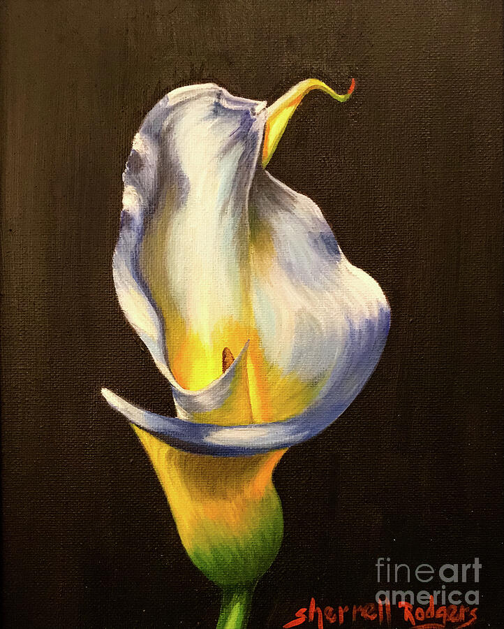 Calla Lily Glow Painting by Sherrell Rodgers