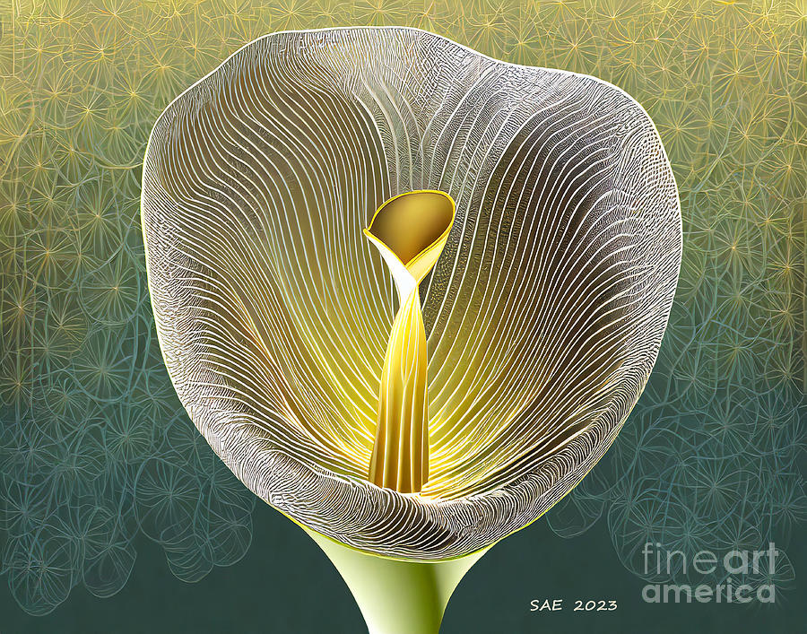 Abstract Digital Art - Calla Lily in Abstract #8 by Sherry Epley