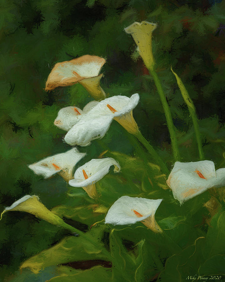 Calla Lily Painted 78 Photograph