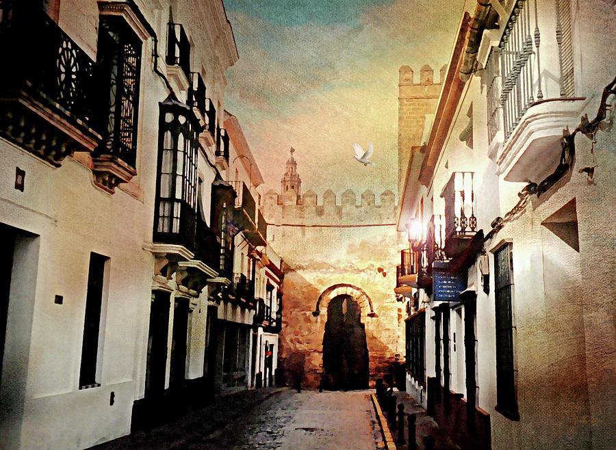 Nature Photograph - Calle Sevilla Espana by Diana Angstadt