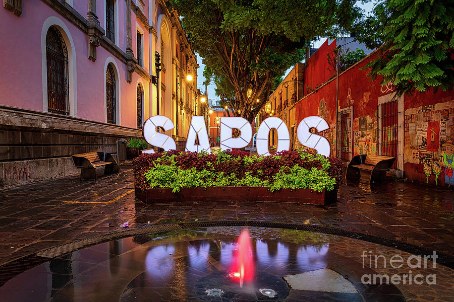 Callejon de los Sapos - Alley of the Toads in Puebla, Mexico Photograph by Sam Antonio
