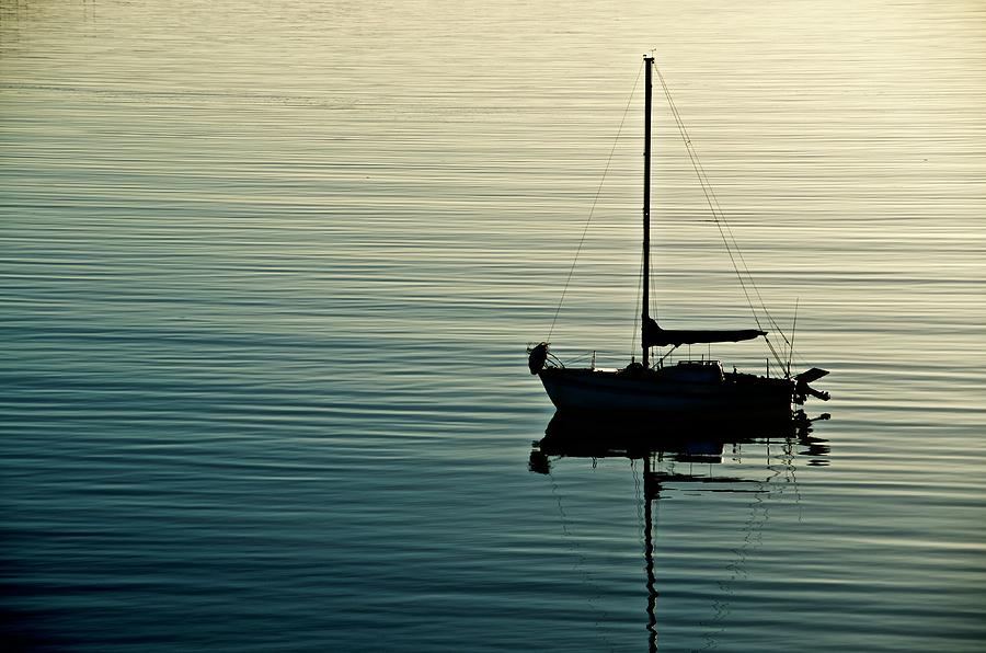 Calm Bay Morning Photograph by Sean Hannon