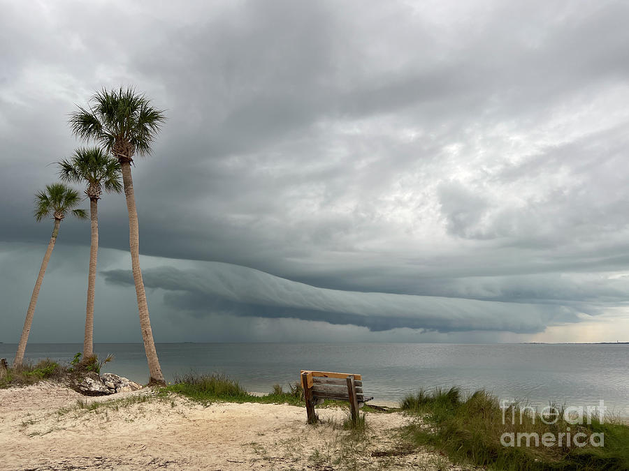 Calm Before The Storm 2 Photograph By Janet Davaros Fine Art America 6125