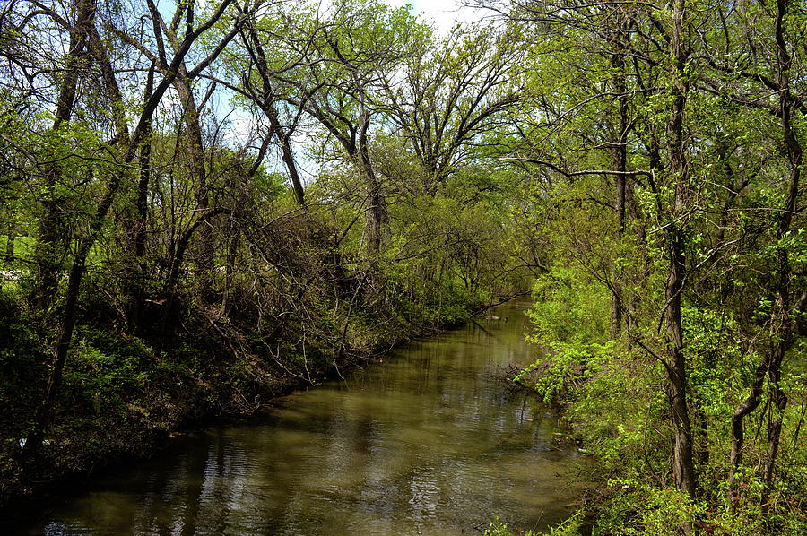 Calm Creek Photograph by Gayle Abrams | Fine Art America