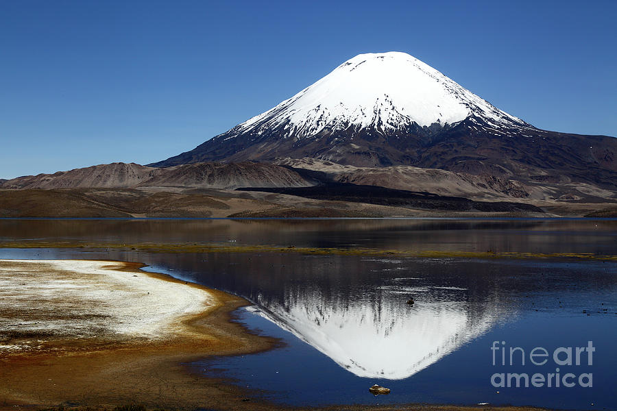 Calm Day in Lauca National Park Chile Photograph by James Brunker