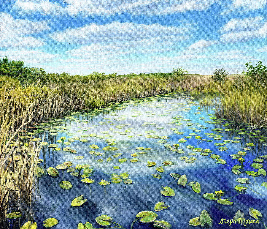 Everglades National Park Painting - Calm in The Everglades by Steph Moraca