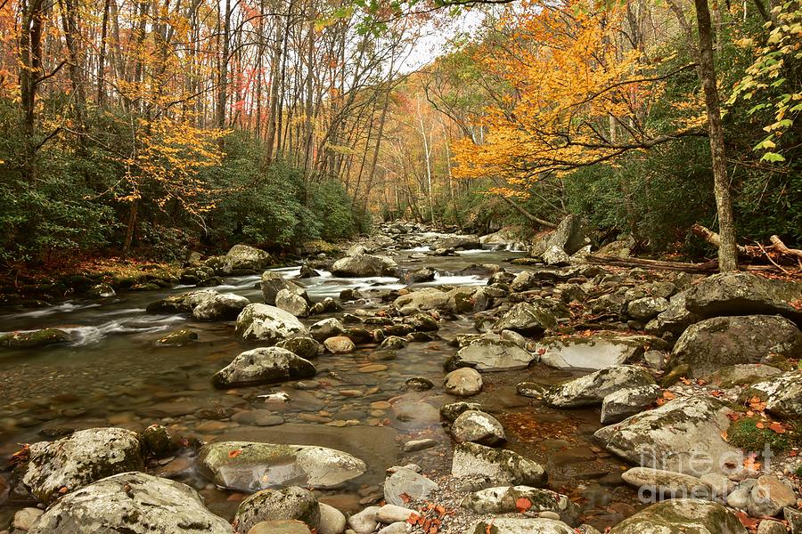 Calm Mountain Stream Photograph by Debbie Green | Fine Art America