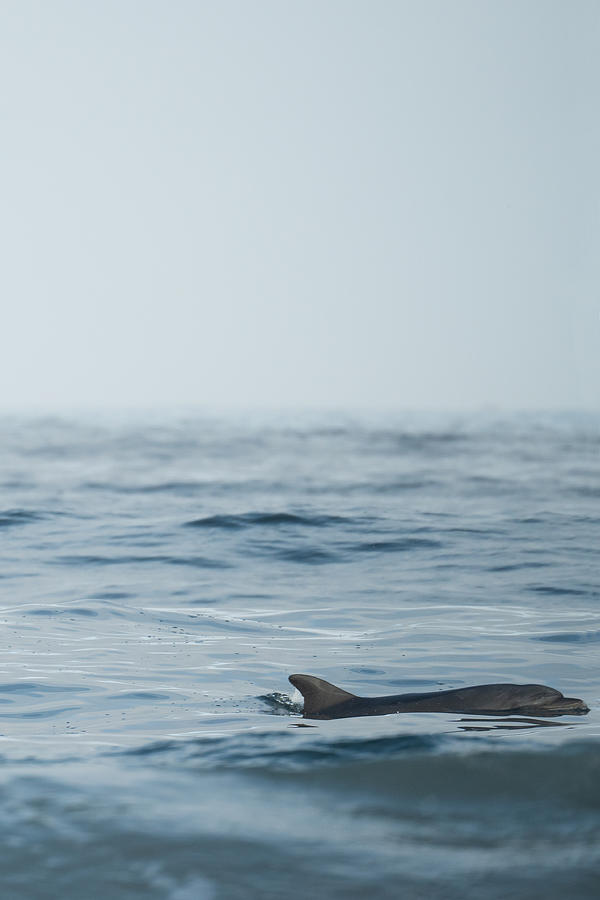 Calm Photograph by Nate Collins - Fine Art America