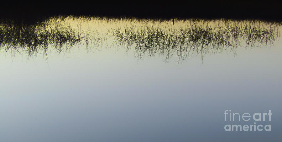 Calm Reflect Photograph by Robert Knight