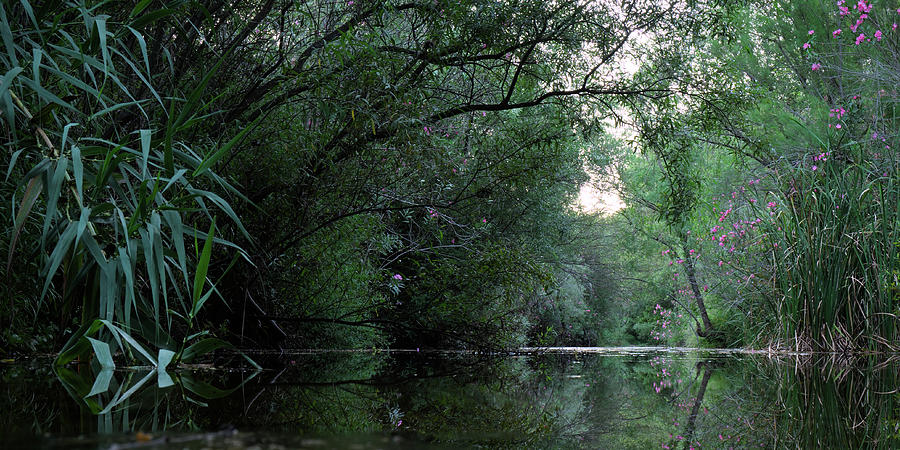 Calm river scenery in Fonte da Benemola. Querenca Photograph by Angelo DeVal