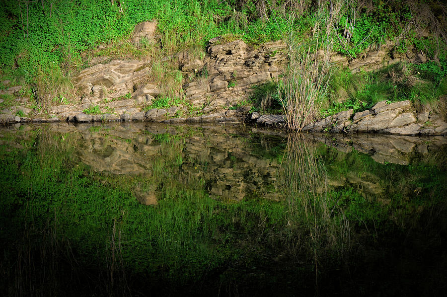 Calm Rock and Plants Reflections Photograph by Angelo DeVal
