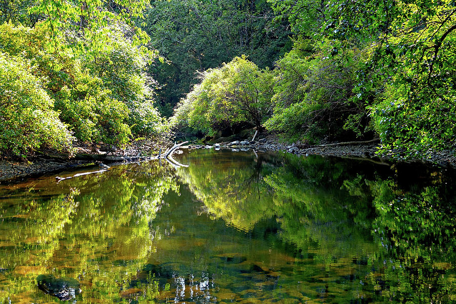 Reflection Photograph - Calming Reflection by Rick Lawler Reflection Photograph - Calming Reflection by Rick Lawler