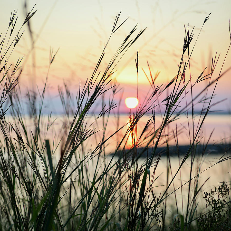 Calming Summer Sunset Photograph by Rachel Morrison