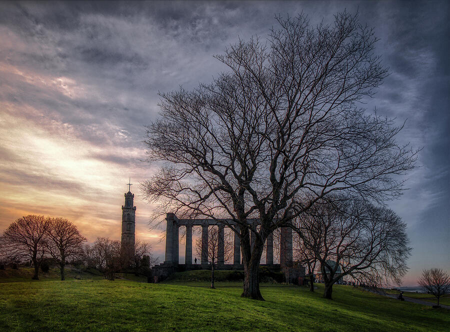 Calton Hill trees Photograph by Micah Offman
