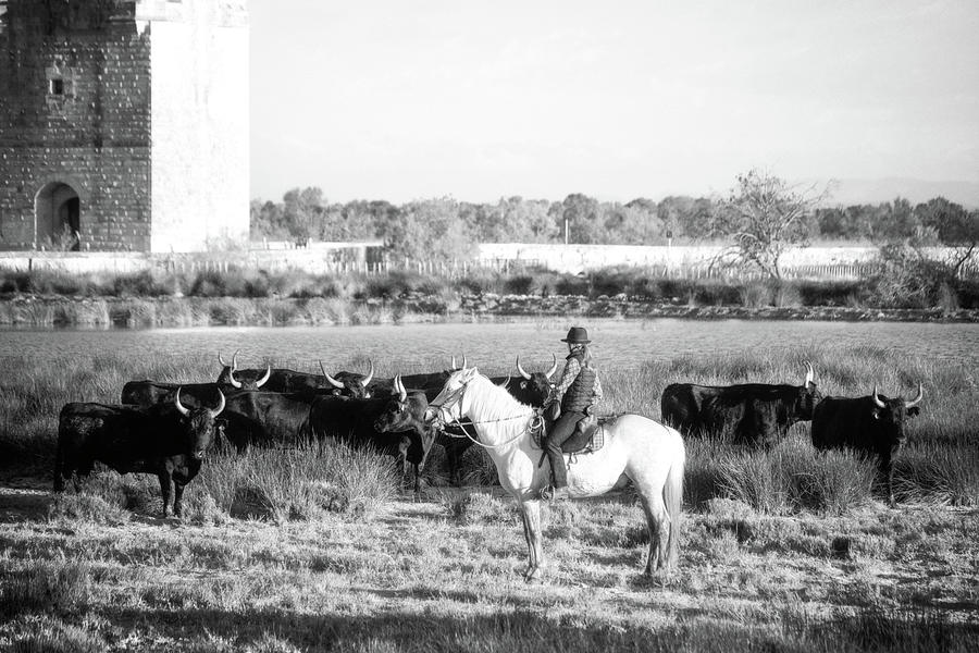 Camargue gardian and bulls by the Carbonnieres Tower Photograph by Jean Gill