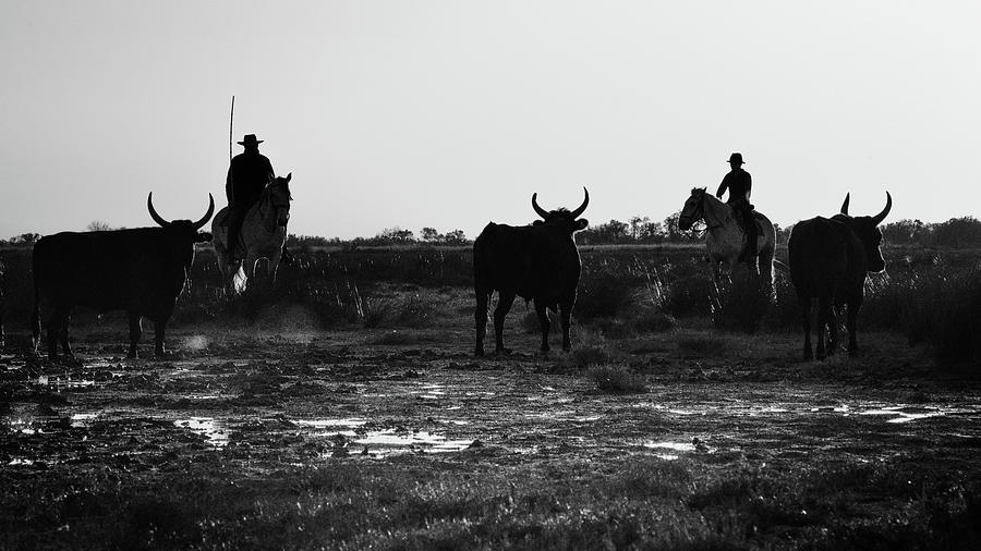 Camargue gardians, silhouettes Photograph by Jean Gill