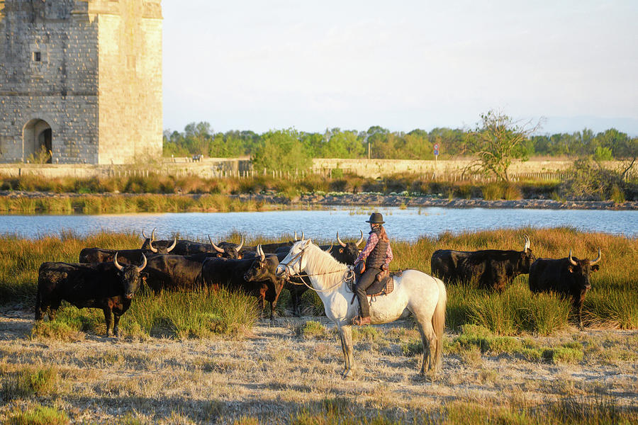 Camargue Landscape, Carbonniere Tower Photograph by Jean Gill
