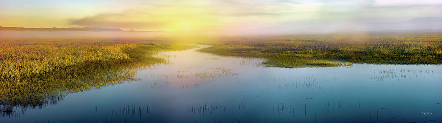 Camas Prairie Mist Panoramic Photograph by Leland D Howard