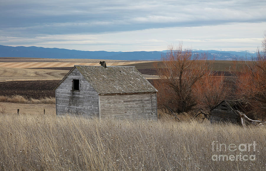 Winter Photograph - Camas Prairie Shack by Idaho Scenic Images Linda Lantzy