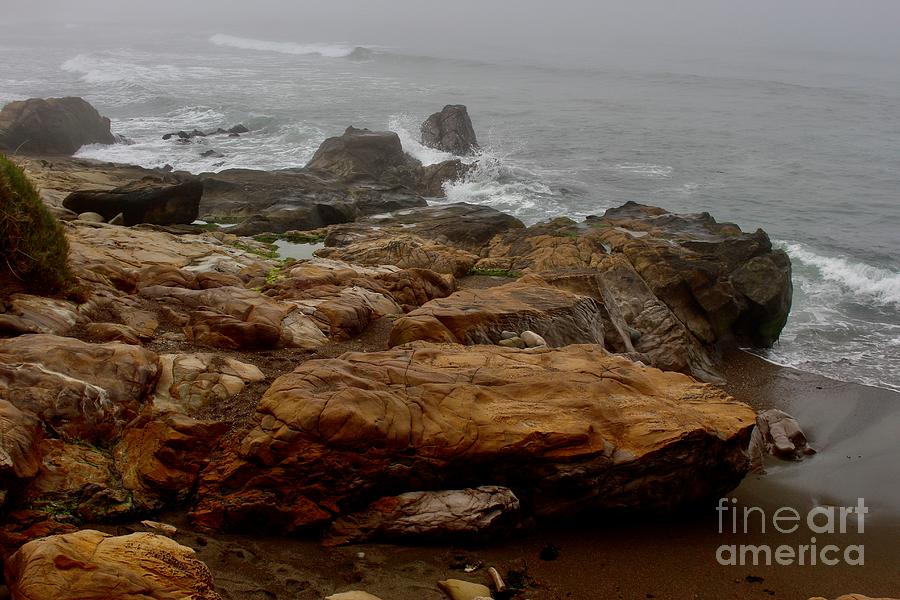 Cambria Shores and Rocks Photograph by Katherine Erickson