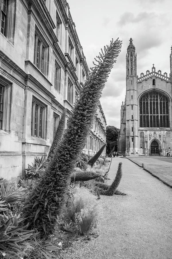 Cambridge England 3 Photograph by John McGraw