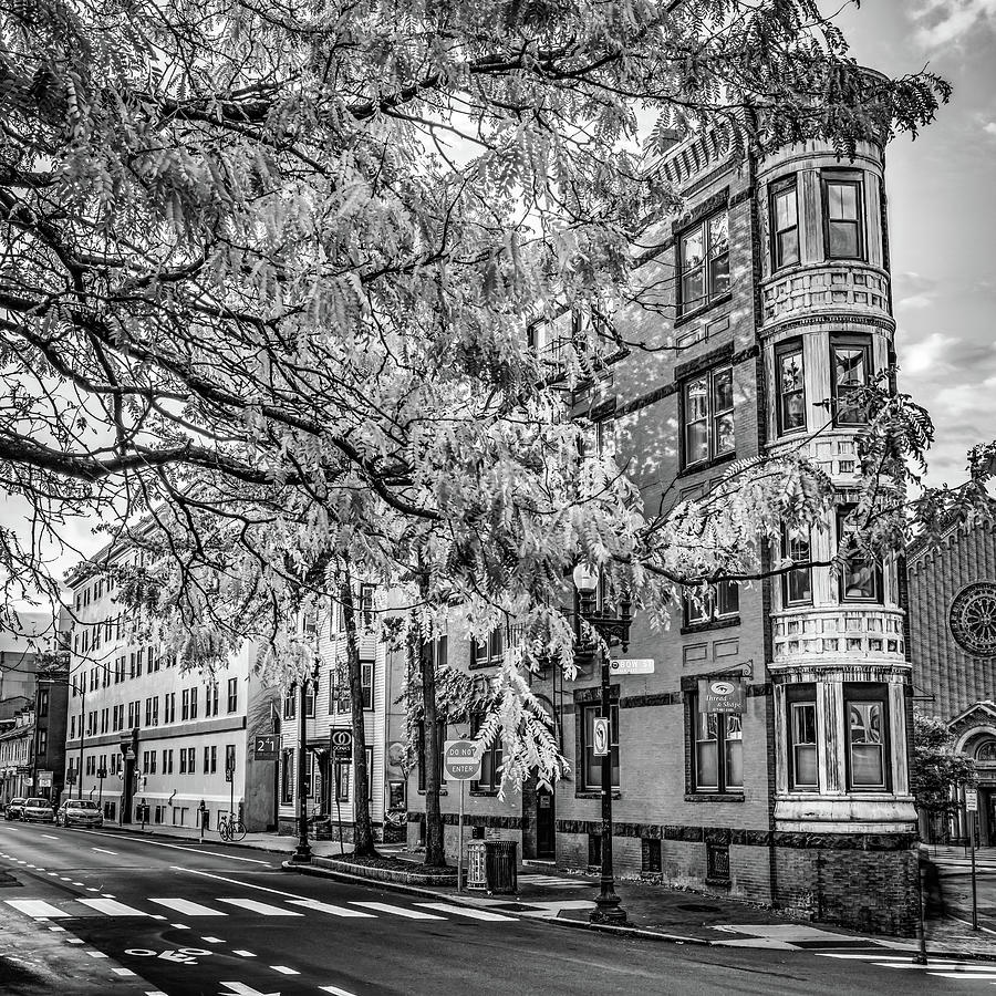 Cambridge Massachusetts Avenue - Black and White Photograph by Gregory Ballos