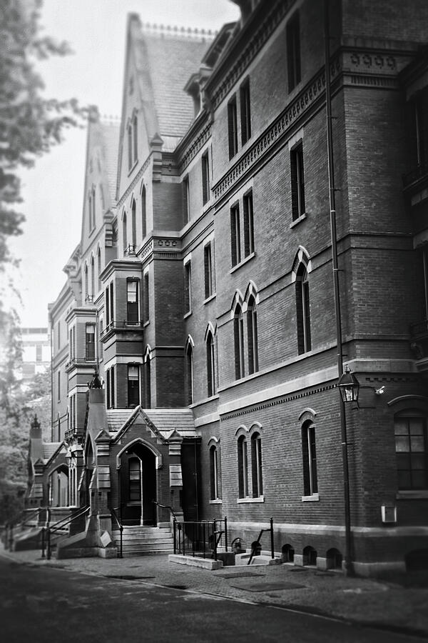 Cambridge Massachusetts Harvard Yard Black and White  Photograph by Carol Japp