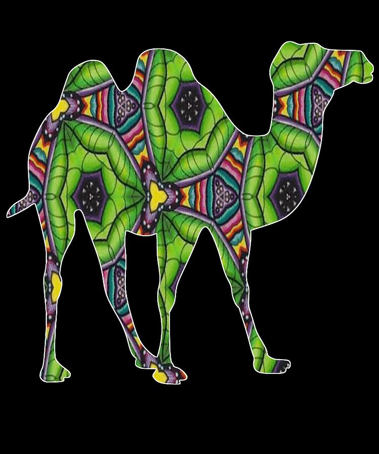 Camel 341 by Kaylin Watchorn Camel 341 by Kaylin Watchorn