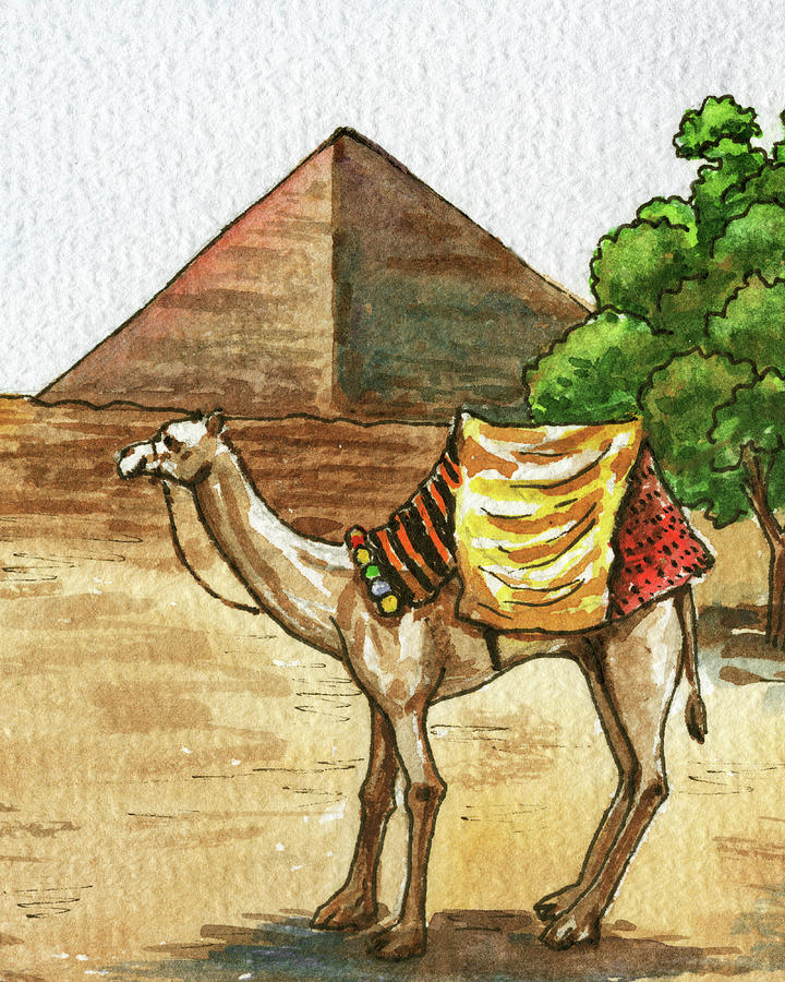 Camel And Giza Pyramid Watercolor  Painting by Irina Sztukowski