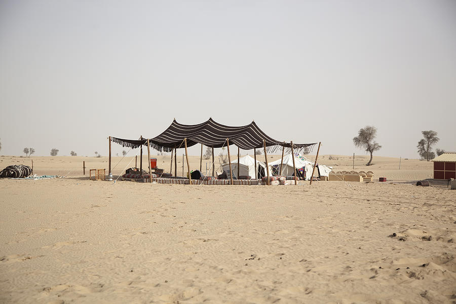 Camel camp near Dubai Photograph by David Trood