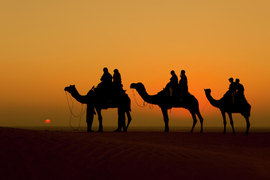 Camel Caravan, Jaisalmer, Rajasthan, India Photograph by Satish Menon ...