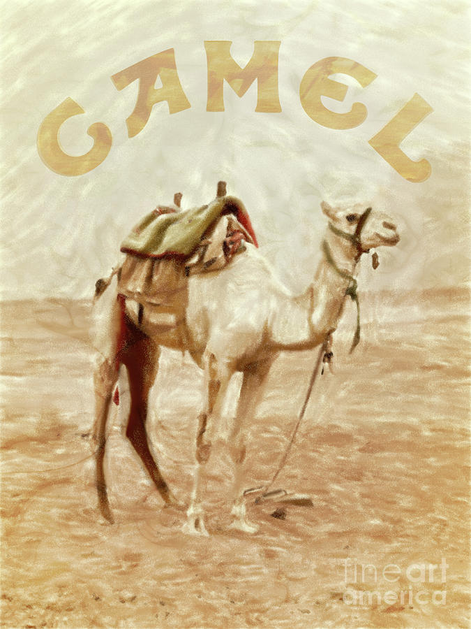 Camel Digital Art - Camel by George Filippopoulos