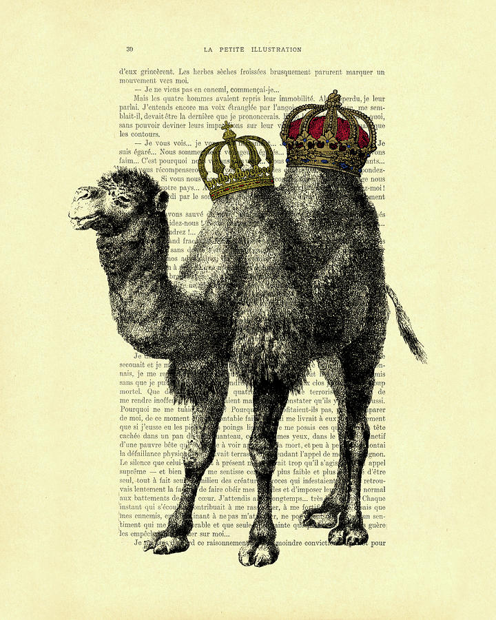 Queen Digital Art - Camel king with crowns by Madame Memento