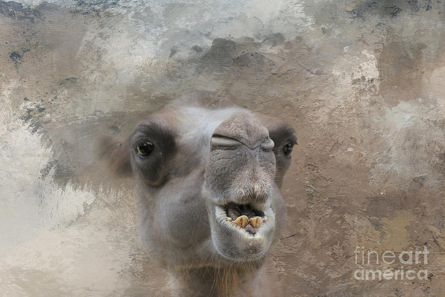 Camel Mixed Media - Camel Portrait Two by Elisabeth Lucas