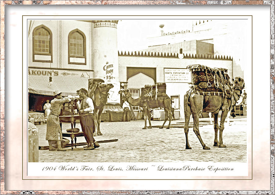 Camel Ride, 1904 Worlds Fair Photograph by A Macarthur Gurmankin