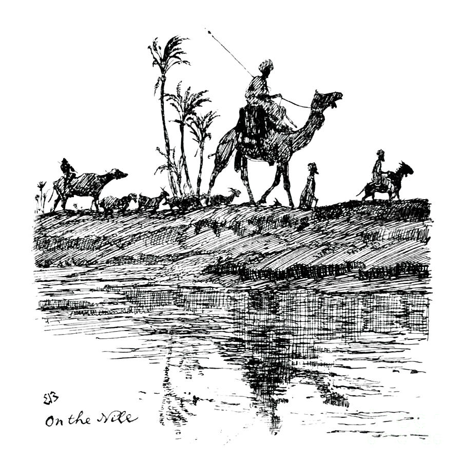 Camel Rider And Livestock P1 Drawing
