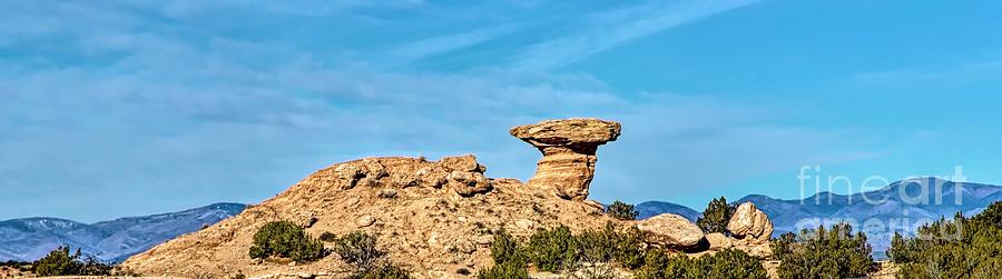 Camel Rock Photograph by Jon Burch Photography
