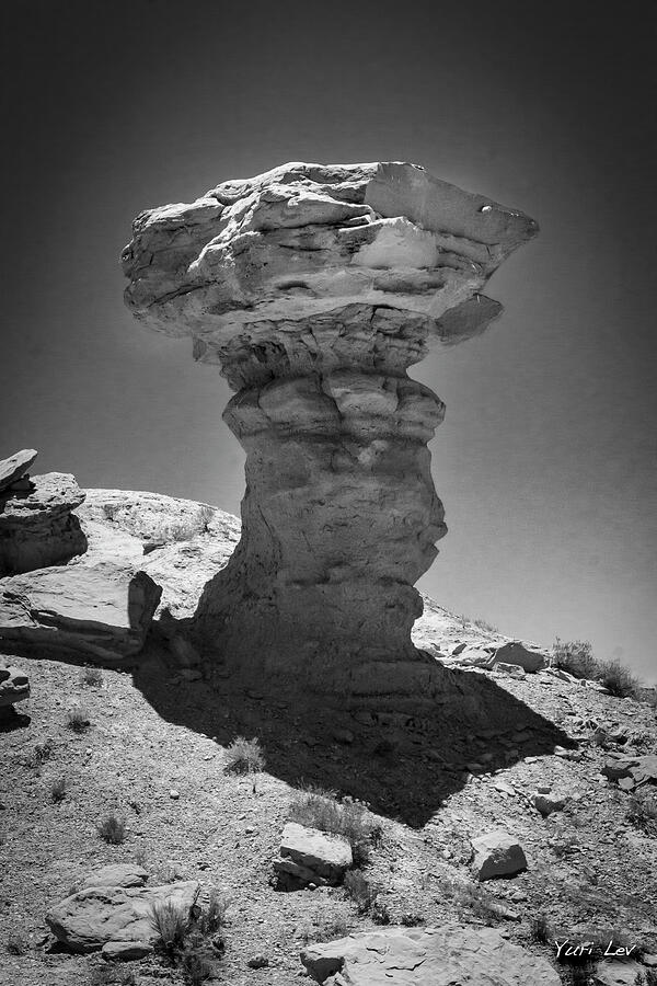 Santa Fe Photograph - Camel Rock by Yuri Lev