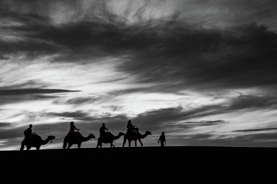 Black And White Photograph - Camel Train by Chris Lord