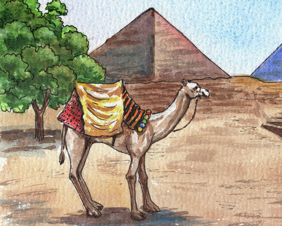 Camel Watercolor Paining  Painting by Irina Sztukowski