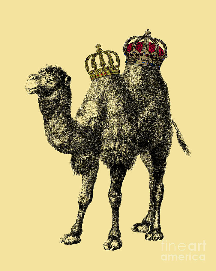 Animal Mixed Media - Camel with crowns by Madame Memento