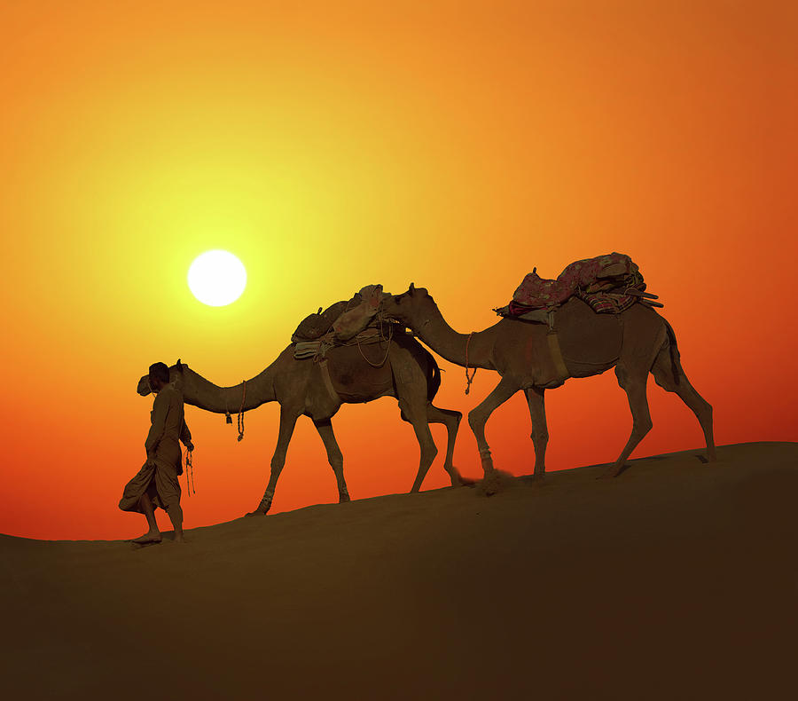 Cameleerand Camels - Silhouette Against Sunset Photograph by Mikhail Kokhanchikov