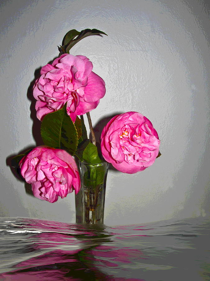 Camellia Bouquet Digital Art