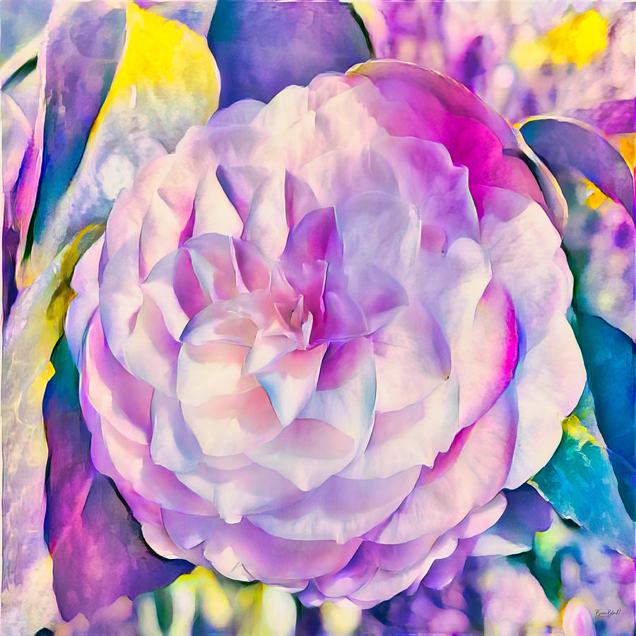 Camellia Digital Art by Bruce Block